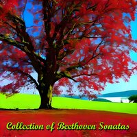 Cello Sonata No. 5 in D Major, Op. 69: II. Adagio con molto sentimento d'affetto - Pablo Casals & Mieczysław Horszowski & Ludwig van Beethoven