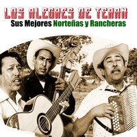 Voy Que Vuelo - Los Alegres De Teran