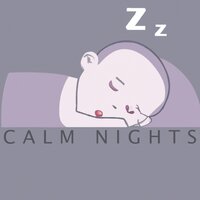 Soothing Sleep Nights - Musica Para Dormir Bebes