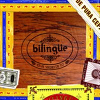 Gritos Escritos - Bilingue