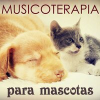 Positividad - Musicoterapia