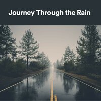Stormy Journey - Rainforest Sounds