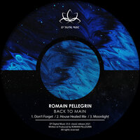 Moonlight - Romain Pellegrin