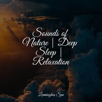 Chill Before Snoozing - Reiki Tribe & Relaxing Rain Sounds & Rain Sound Plus