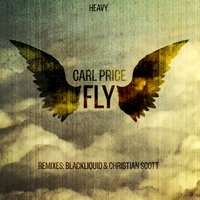 Fly - Carl Price