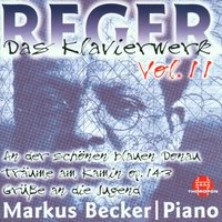 Träume am Kamin, op. 143: VI. Poco vivace - Markus Becker