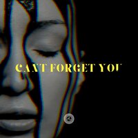 Can't Forget You - Loka