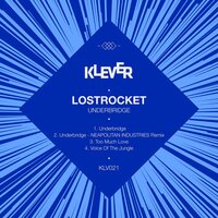 Too Much Love - LostRocket