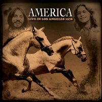 Daisy Jane - America