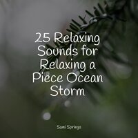 Forest, Morning,Calm,Birds - Rain Man Sounds & Musique Zen Garden & Deep Sleep Relaxation