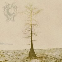 Forgotten, Forlorn, Forsaken - Primeval Well
