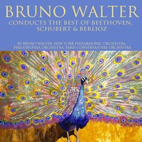Symphony No. 3 in E-Flat, Op. 55 - "Eroica": IV. Allegro Molto - New York Philharmonic Orchestra & Ludwig van Beethoven
