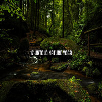 Ecology For The Brain - Nature Ambience