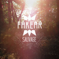 Thousand Fires - Fakear