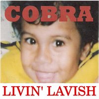 Kickin' up Dust - Cobra