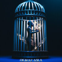 Olmaz Asla - Zorba