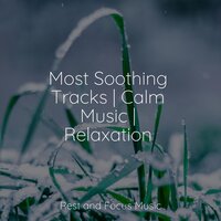 Instrumental Illuminations - Classical Lullabies & Spa Relaxation & Meditation Music Club