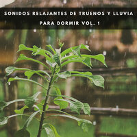 Noche Lluviosa - Sonidos de lluvia y ruido de fondo & Sonidos De Lluvia y Tormentas & Musica relajante dormir