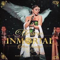 Acuarela Mexicana - Rosy Arango & Mariachi Vargas de Tecalitlán