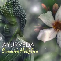 Ciclo del Sol - Ayurveda