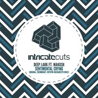 Sentimental Crying - Deep Lark & Makosh