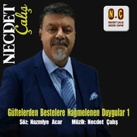Ne Bekledim Senden Sevginden Başka - Necdet Çalış