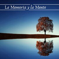 Pensamiento Positivo - Musicoterapia New Age