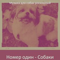 Музыка (Милые Собаки) - Музыка для собак роскошный