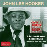 I See You When You're Weak - John Lee Hooker