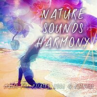 Atmosphere of Peace (Positive Ambient, Nature Rain Music) - Deep Relaxation Exercises Academy