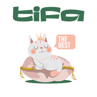 The Best - Tifa