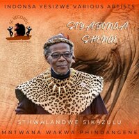 Siyabonga Mntwana Wakwa Shenge - Indonsa Yesizwe & Mis Kia & Snen & Liyasa & Simply Eugene