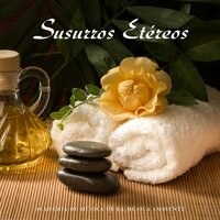 Musique de Relaxation - Academia de Música de la Música Ambiente