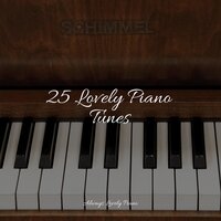 Celestial Wandering - Concentrate with Classical Piano & Anti Stress & Exam Study Classical Music