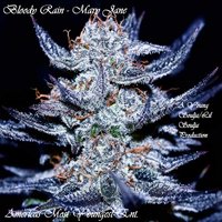 Mary Jane - Bloody Rain