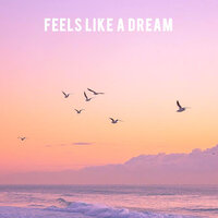 Feels Like a Dream - Cengo