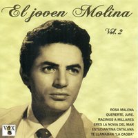 En el Fondo de la Mina (Tientos) - Antonio Molina