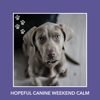 Serenity Landscape - Puppy Relaxation