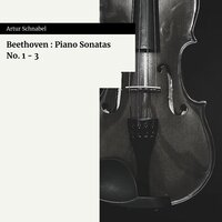 Piano Sonata No. 1 In F Minor, Op. 2 No. 1 : III. Menuetto, Allegretto - Artur Schnabel & Ludwig van Beethoven