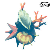 O.Y.S.T.E.R - Band Oyster