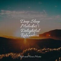 Seeking Pilgrims - Native American Flute & Relaxing Sleep Music & Schlaflieder Für Kinder