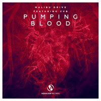 Pumping Blood - Malibu Drive & CvB