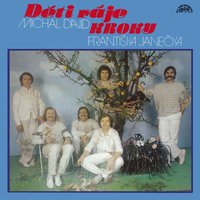 Jakoby náhodou - Michal David & Kroky Františka Janečka