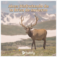 Día y noche - Lullify Español