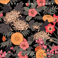 Water Your Garden - Magic City Hippies & Maye