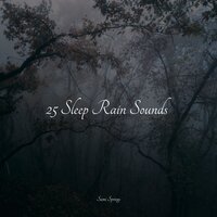 Sounds of Rain and Thunder - Deep Sleep Music Experience & Healing Sounds for Deep Sleep and Relaxation & Tinnitus