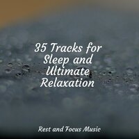 Wandering Rivers of Peace - Deep Relaxation Meditation Academy & Yoga & Spa Zen