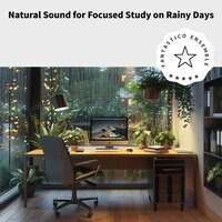 Pensive Weather Harmony - Fantastico Ensemble