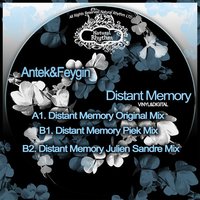 Distant Memory - Antek