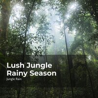 Quiet Woodland Tune - Deep Rain Sampling & Nature and Rain & Jungle Rain